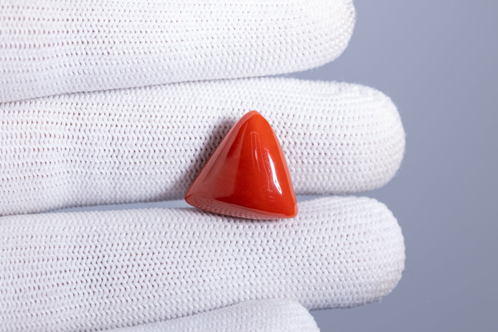 Italian Red Coral 18.05 Carats / 19.84 Ratti