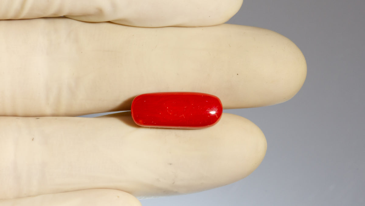 Italian Red Coral 8.40 Carats / 9.23 Ratti
