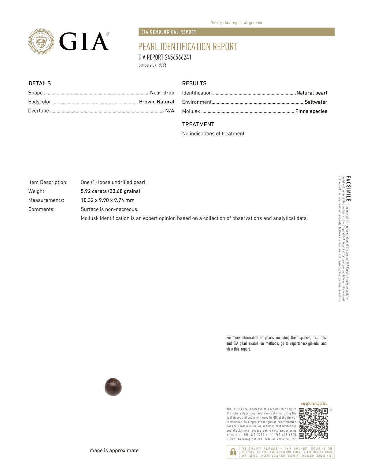 Basra Pearl 5.92 Carats / 6.51 Ratti
