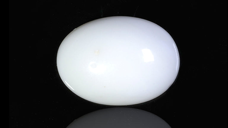 Natural White Coral 8.28 Carats / 9.1 Ratti