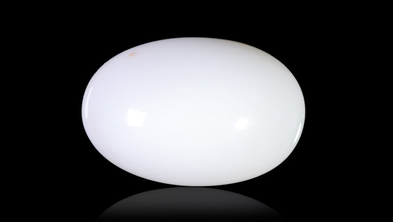Natural White Coral 15.27 Carats / 16.78 Ratti