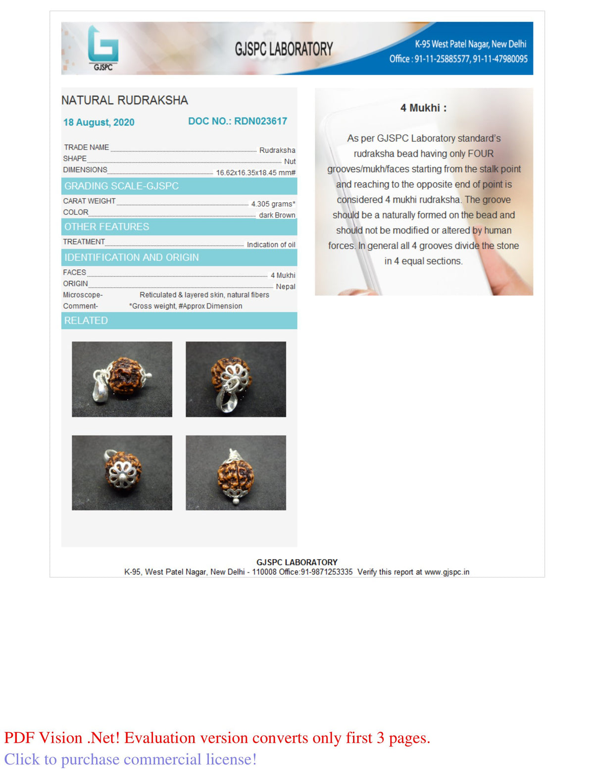 4 MUKHI RUDRAKSHA (18.45 mm)