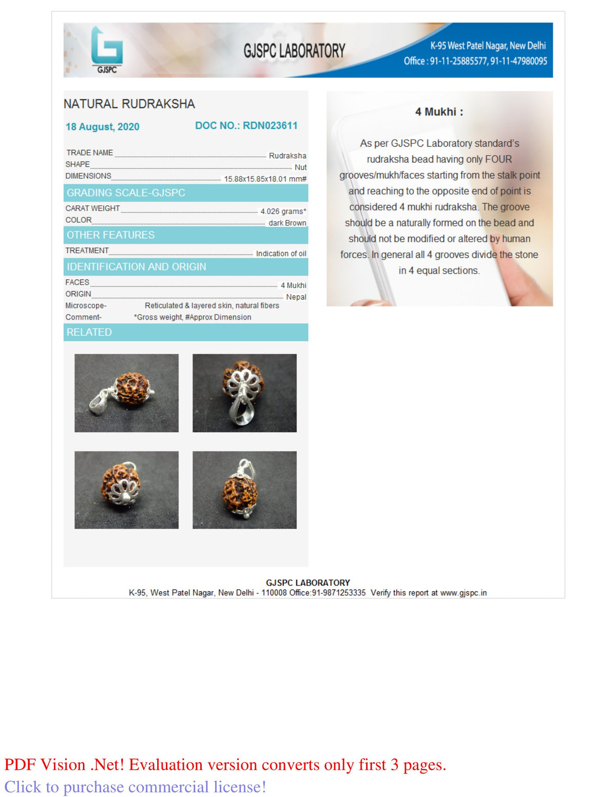 4 MUKHI RUDRAKSHA (18.01 mm)