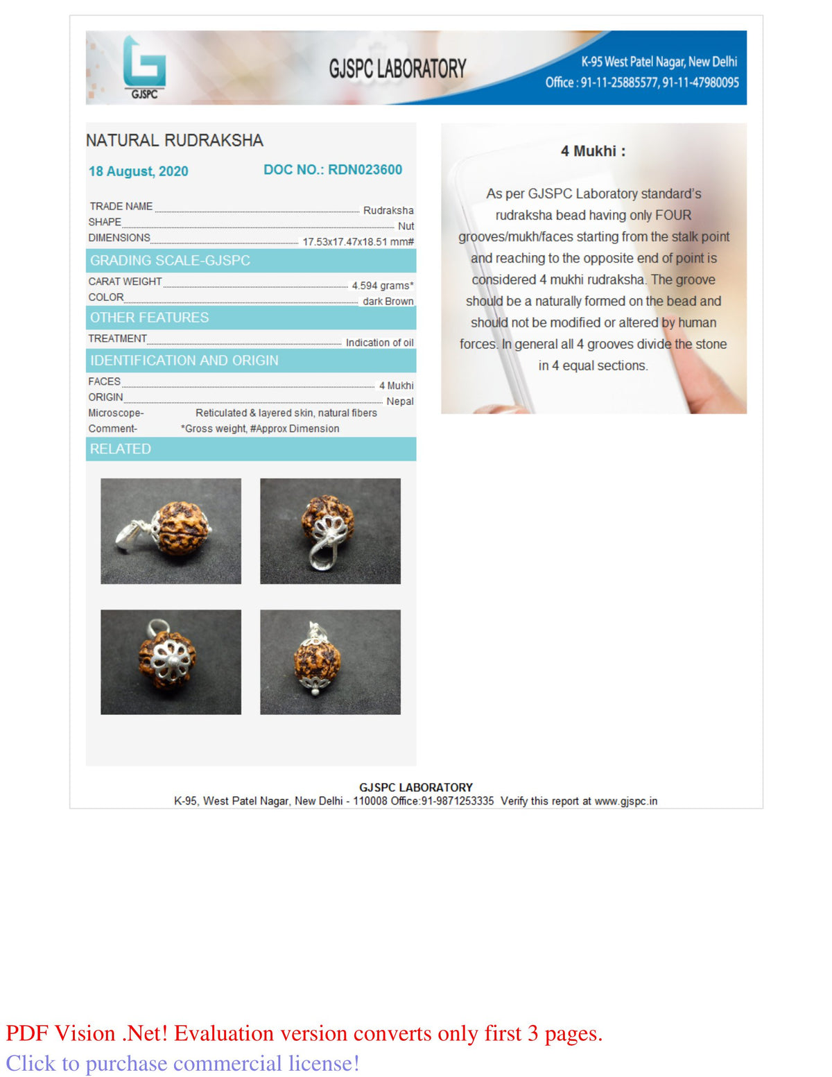 4 MUKHI RUDRAKSHA (18.51 mm)