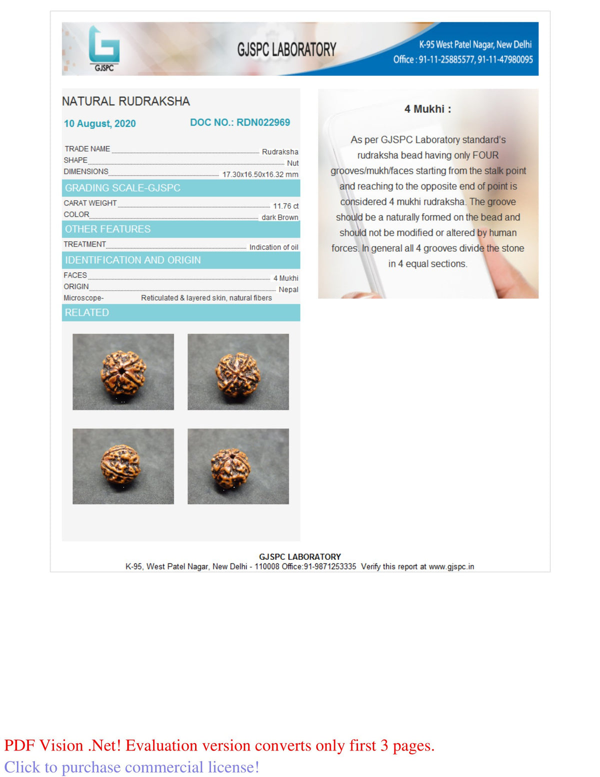 4 MUKHI RUDRAKSHA (17.30 mm) / 12.94 Ratti