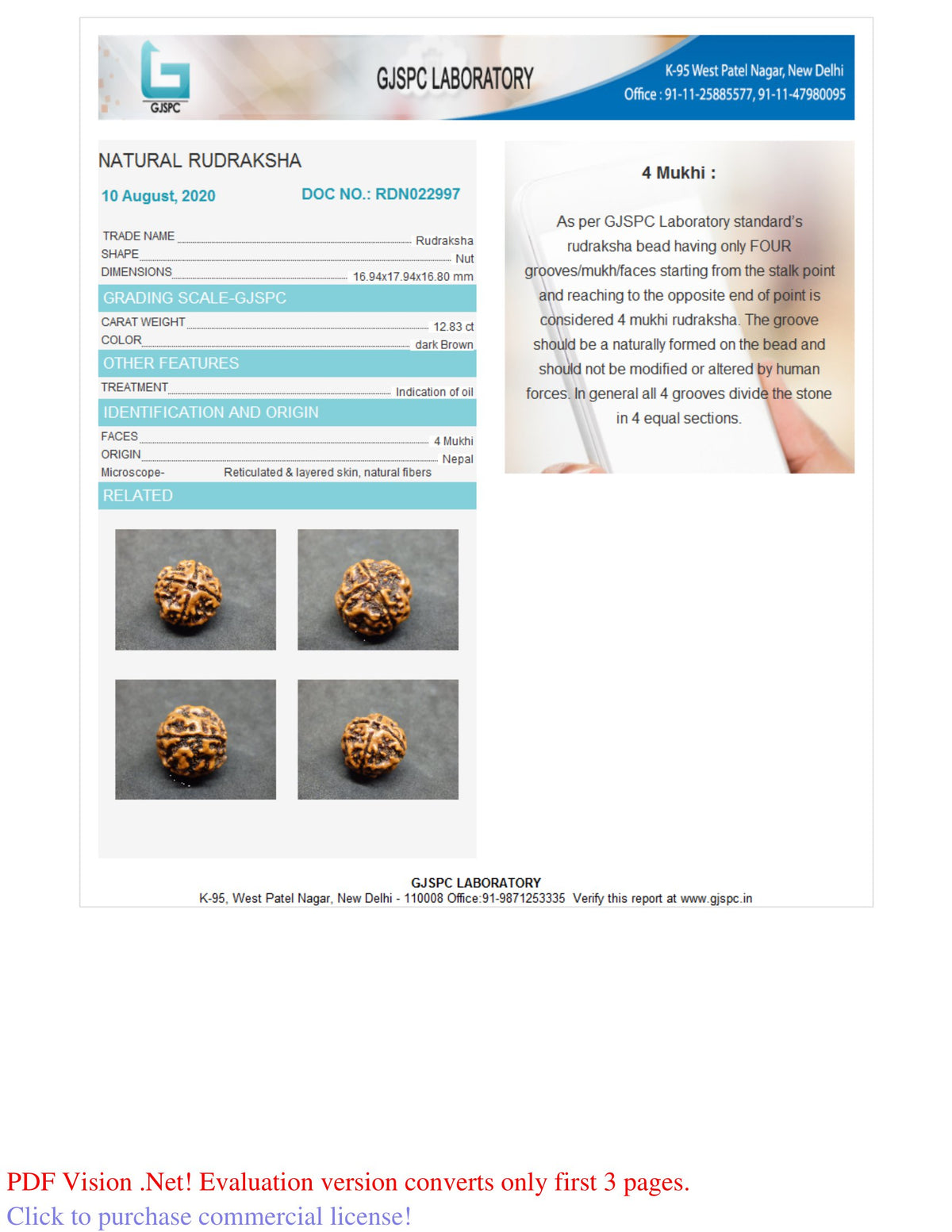4 MUKHI RUDRAKSHA (17.94 mm) / 14.11 Ratti