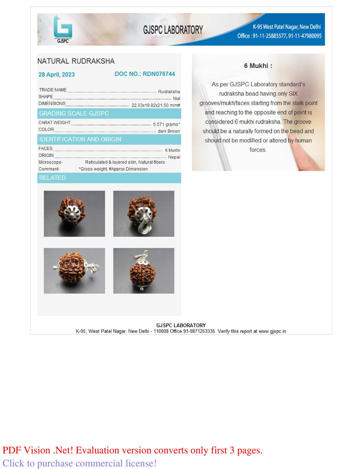 6 MUKHI RUDRAKSHA (22.03 mm)