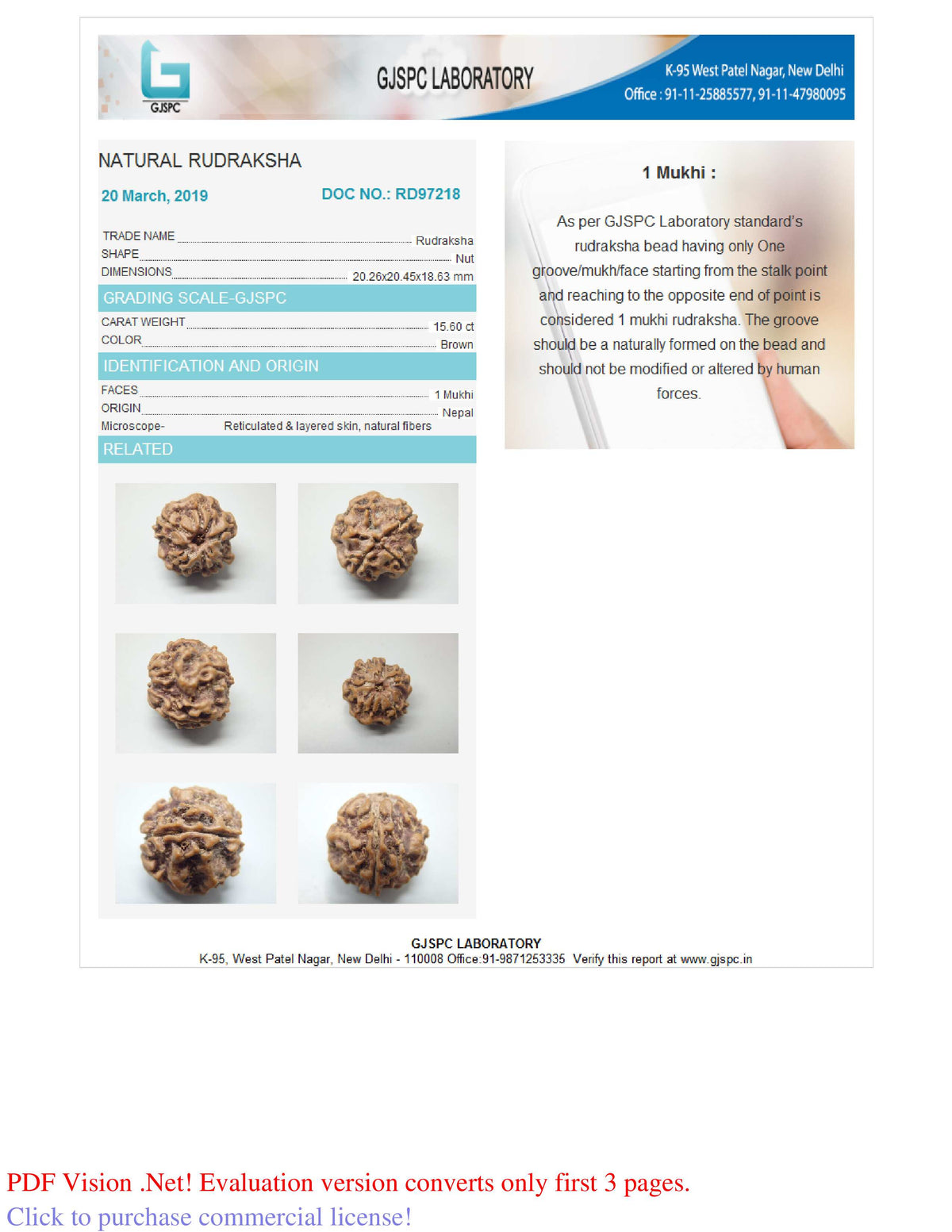 1 MUKHI RUDRAKSHA (20.45 mm)