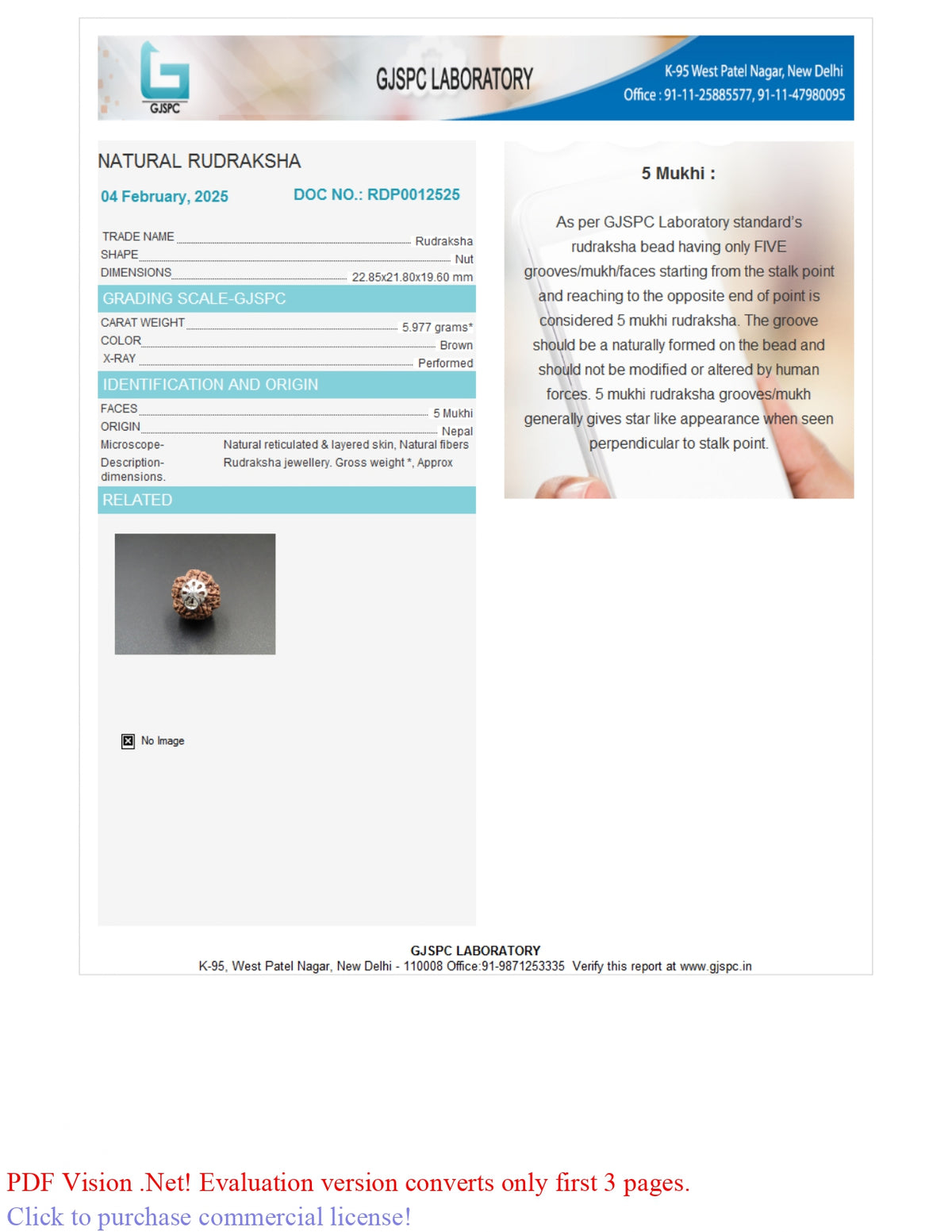 5 MUKHI RUDRAKSHA (22.85 mm)