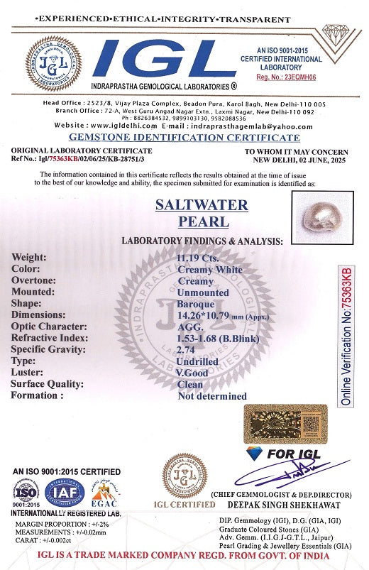 Venezuela Pearl11.19 Carats / 12.3 Ratti