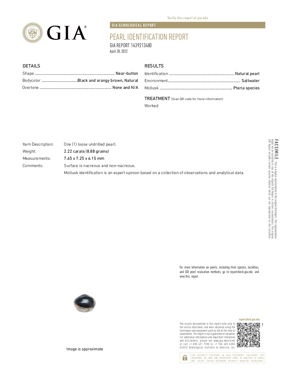 Basra Pearl 2.22 Carats / 2.44 Ratti