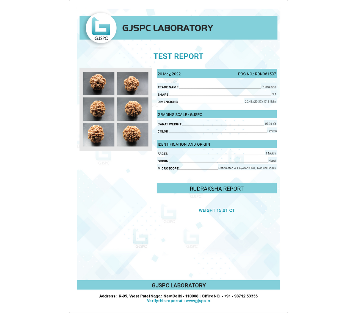 1 MUKHI RUDRAKSHA (20.48 mm)