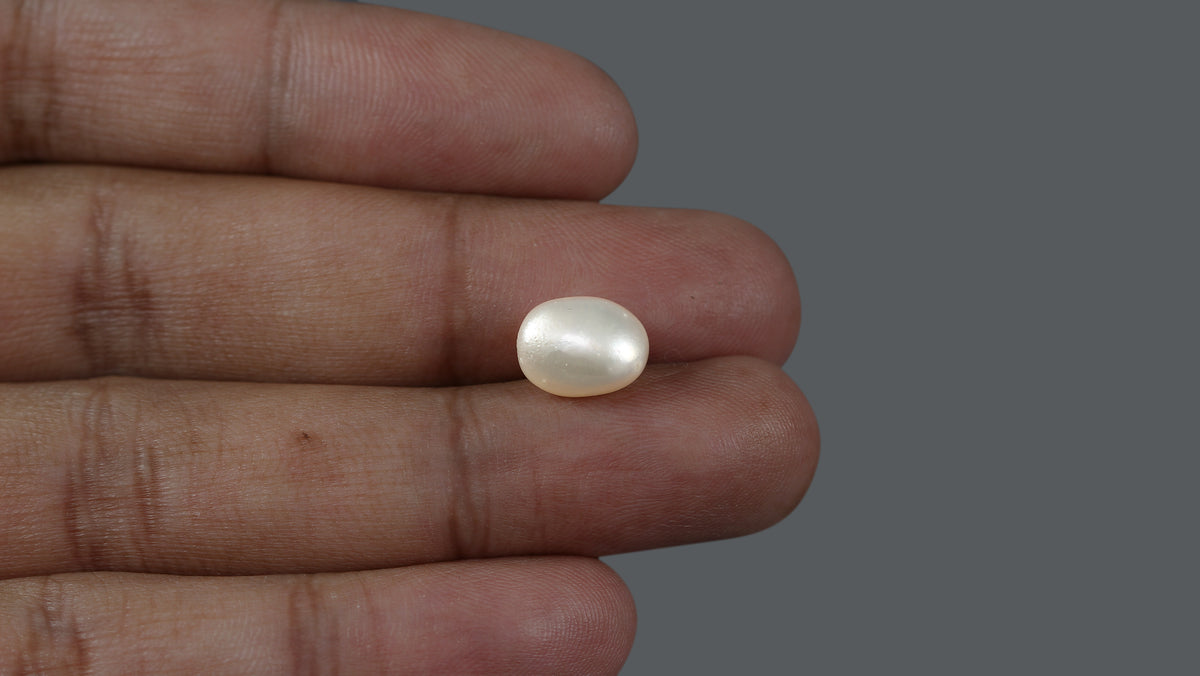 Venezuela Pearl 5.71 Carats / 6.34 Ratti