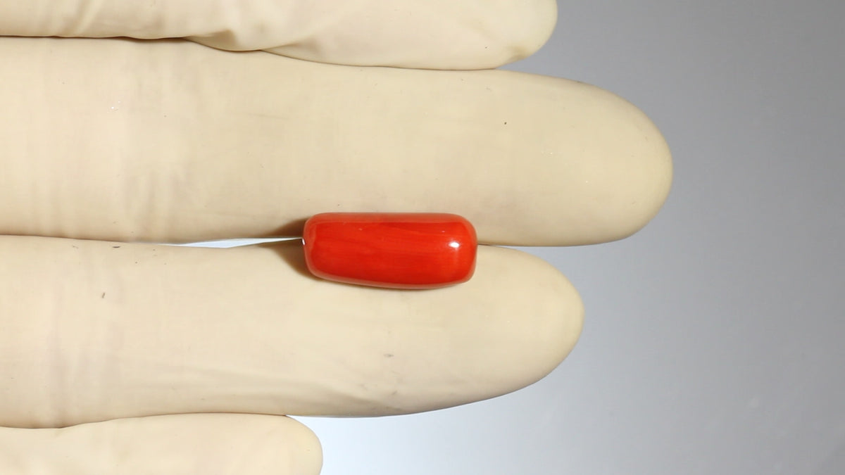 Italian Red Coral 8.65 Carats / 9.51 Ratti