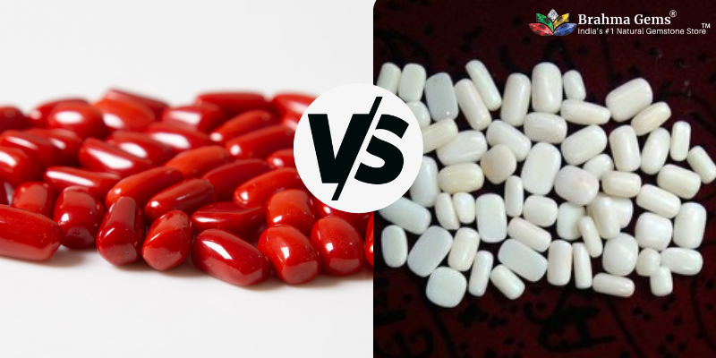 Red Coral Vs White Coral: Here Is All What Makes Them Unique