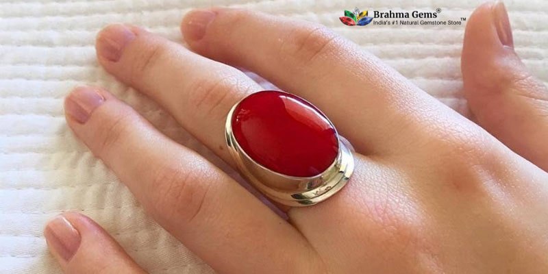 Everything you should know about Red Coral
