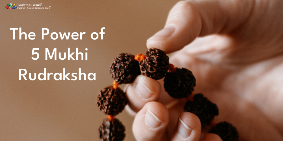 The Power of 5 Mukhi Rudraksha: Uncover the Benefits