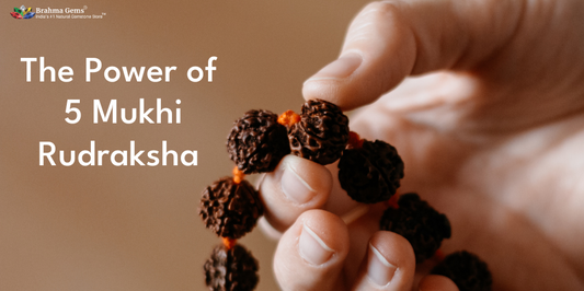 The Power of 5 Mukhi Rudraksha: Uncover the Benefits