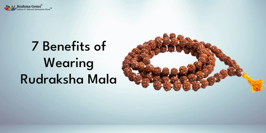 7 Reasons Why Rudraksha Mala is Very Important