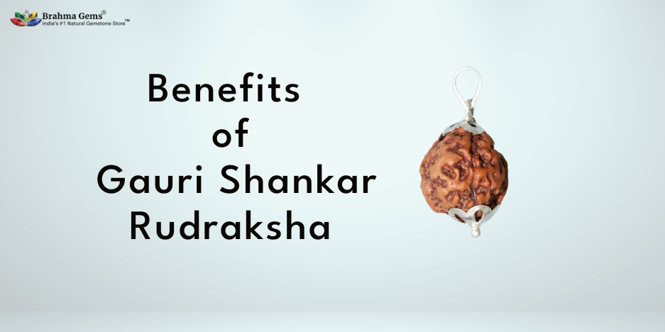 Know the Benefits, Power, and Types of  Gauri Shankar Rudraksha
