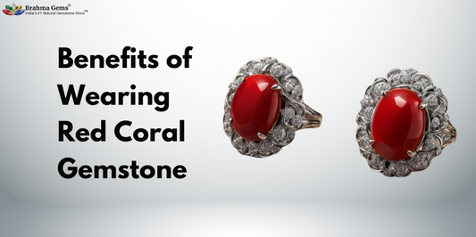 Red Coral Gemstone (Moonga Stone): The Secret to Enhancing Your Energy and Vitality
