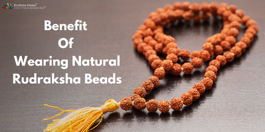 Have More Benefit By Wearing Natural Rudraksha Beads
