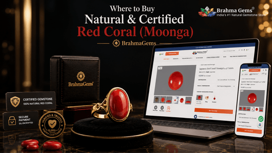 Where to Buy Natural & Certified Red Coral (Moonga)