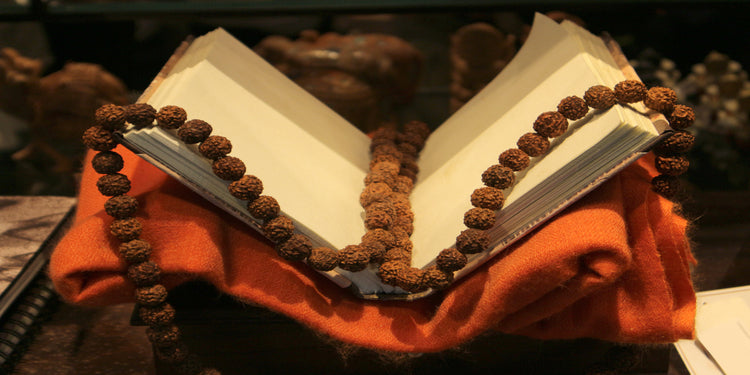 Four Mukhi (4 faces) Rudraksha: Importance, Benefits, Power, Significance & Procedure to Wear