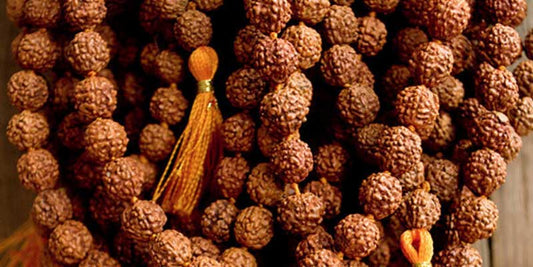 Rudraksha : How It Helps Your Health Game