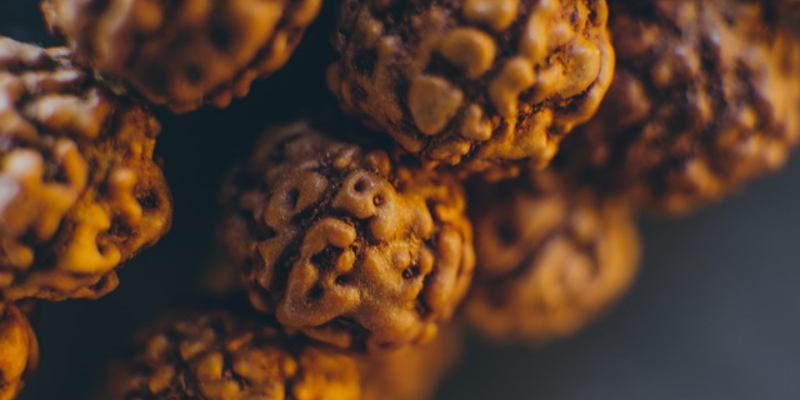 Nineteen Mukhi (19 Faces) Rudraksha: Importance, Benefits, Power, Significance & Procedure to Wear