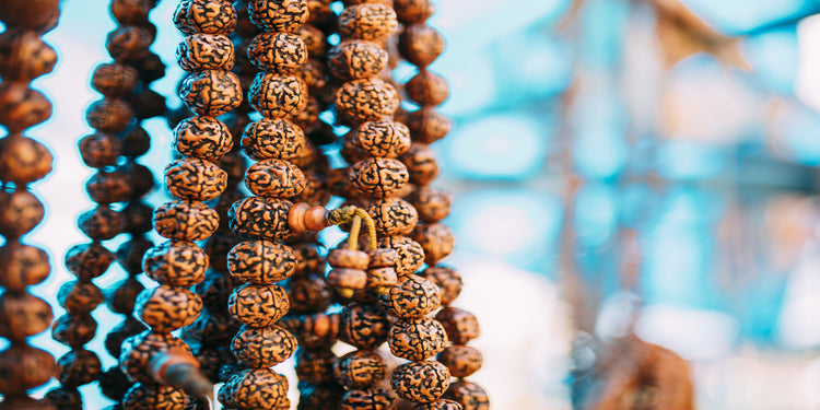 One (EK Mukhi) Mukhi Rudraksha- The Significance, Power and Benefits