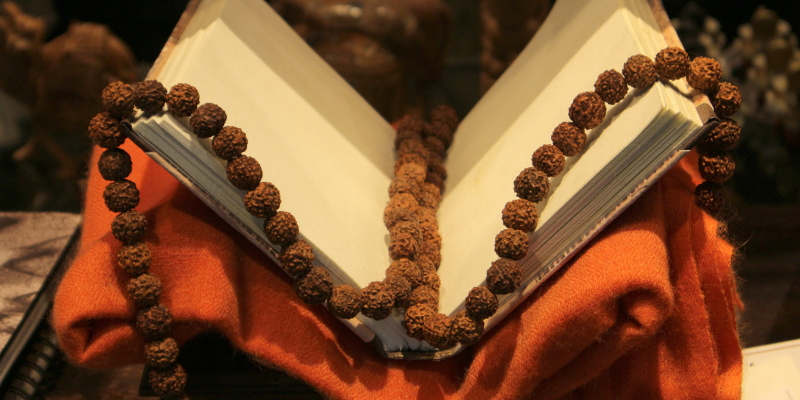Eleven Mukhi (11 faces ) Rudraksha: Importance, Benefits, Power & Significance & Procedure to Wear