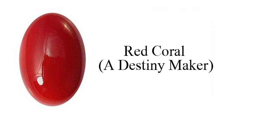 Red Coral – A Destiny Maker