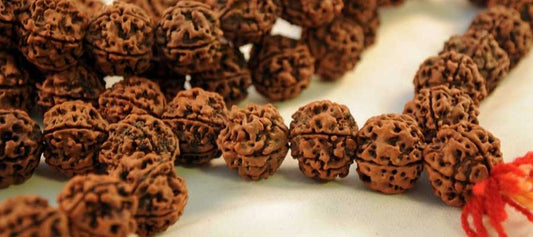 What Is Rudraksha All About!