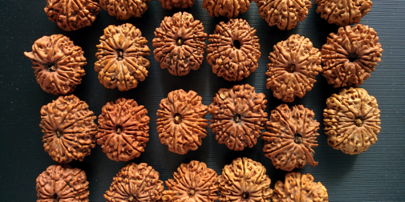 10 Mukhi Rudraksha: Importance, Benefits, Power, Significance & Procedure to Wear