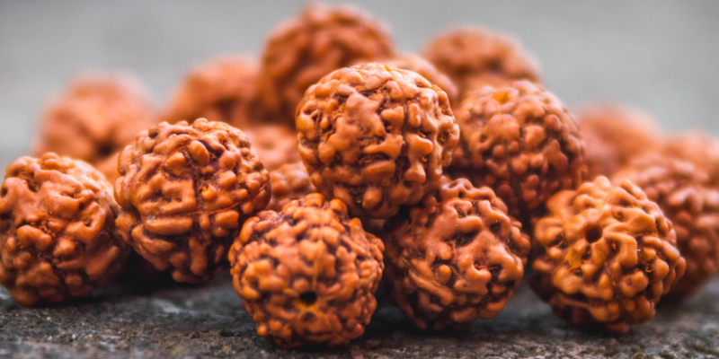 Thirteen Mukhi (13 Faces) Rudraksha: Importance, Benefits, Power, Significance & Procedure to Wear