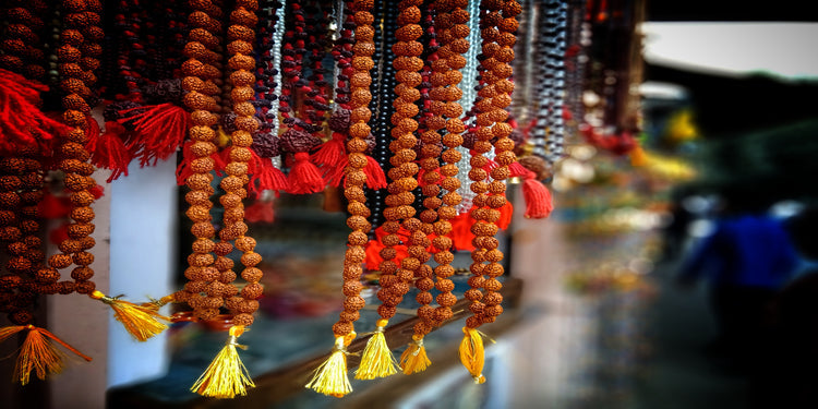Three Mukhi (3 Faces) Rudraksha: Importance, Benefits, Significance & Procedure to Wear