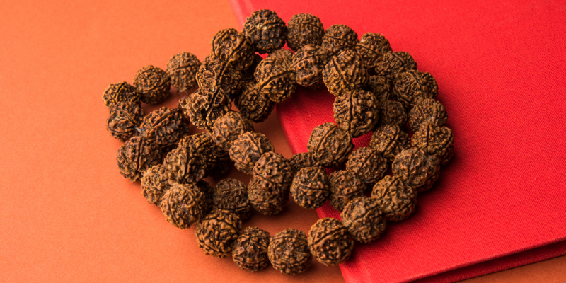 Seventeen Mukhi (17 faces) Rudraksha: Importance, Benefits, Power, Significance & Procedure to Wear