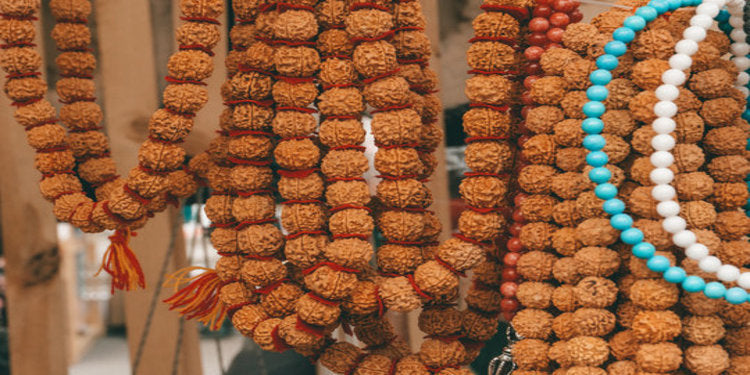 Six Mukhi (6 Faces ) Rudraksha: Importance, Benefits, Power, Significance & Procedure to Wear