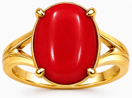 Natural Red Coral (Moonga) in Gurgaon