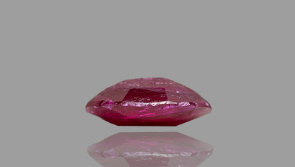 Mozambique Ruby (Manik) 2.52 Carats / 2.77 Ratti