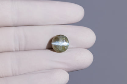 Cat's Eye (Lehsuniya) 10.42 Carats / 11.45 Ratti