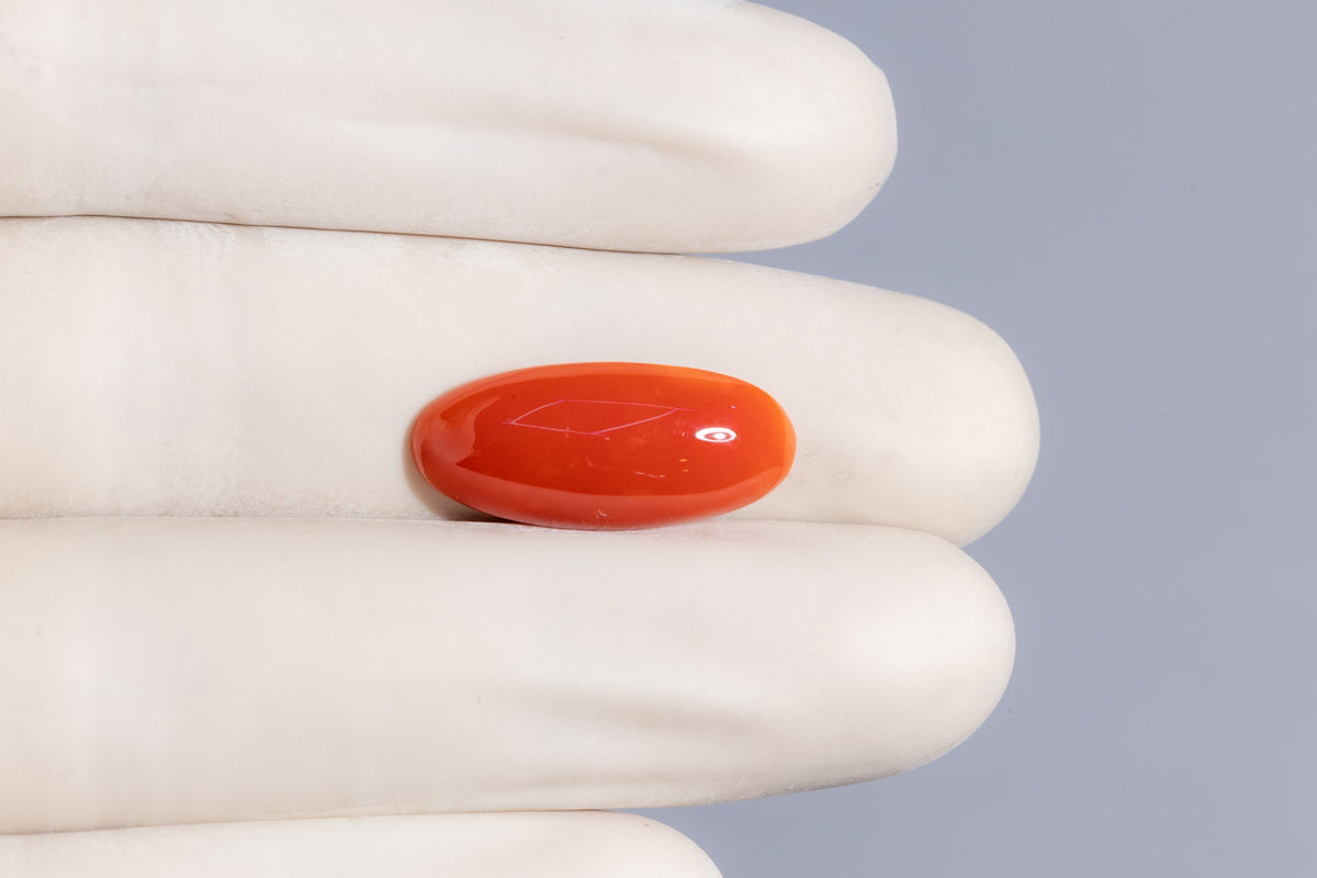 Japanese Red Coral 8.74 Carats / 9.6 Ratti