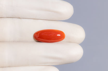 Japanese Red Coral 8.74 Carats / 9.6 Ratti