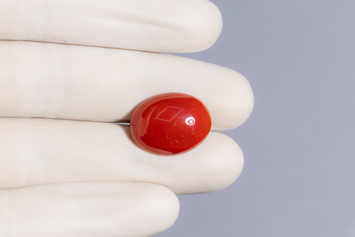 Japanese Red Coral 16.24 Carats / 17.85 Ratti