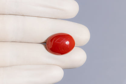 Japanese Red Coral 16.24 Carats / 17.85 Ratti