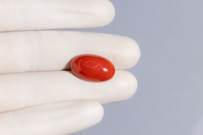 Japanese Red Coral 16.28 Carats / 17.89 Ratti