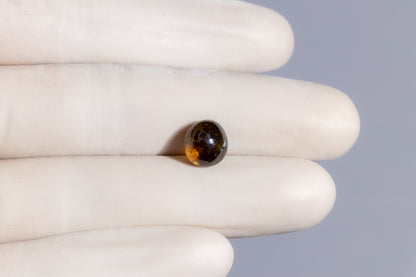 Cat's Eye (Lehsuniya) 7.11 Carats / 7.81 Ratti