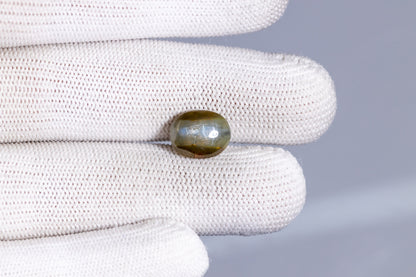 Cat's Eye (Lehsuniya) 6.37 Carats / 7 Ratti