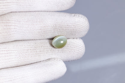 Cat's Eye (Lehsuniya) 7.74 Carats / 8.51 Ratti